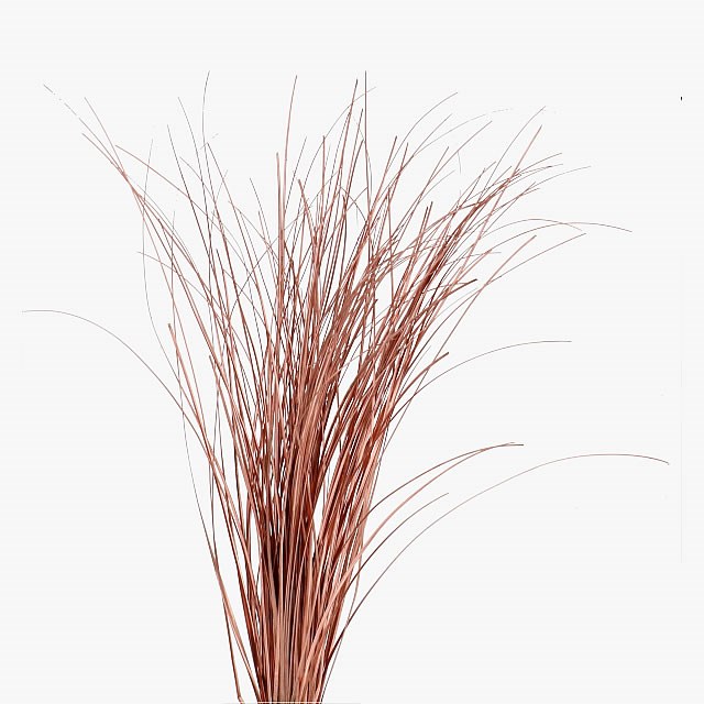 BEARGRASS DYED COPPER