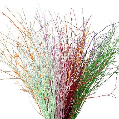 BETULA DYED MIX (COLS MAY VARY)