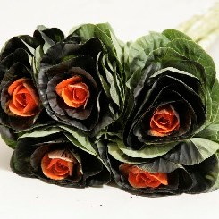 BRASSICA DYED HALLOWEEN BLACK/ORANGE
