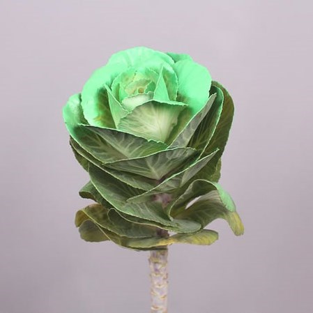 BRASSICA DYED MINT GREEN