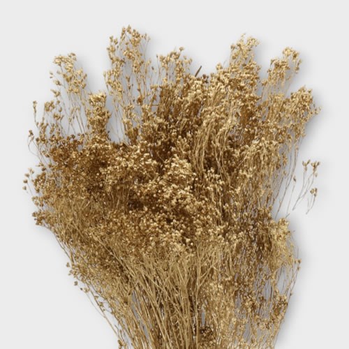 BROOM DYED ANTIQUE GOLD (DRIED)