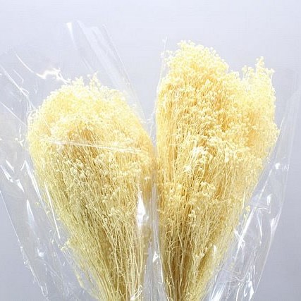 BROOMS PRESERVED BLEACHED