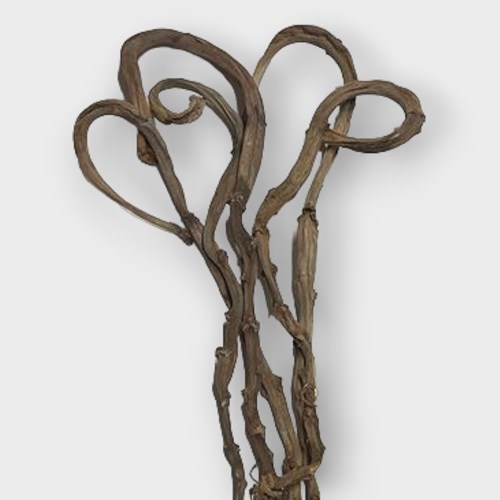 Banana Sticks - Curly