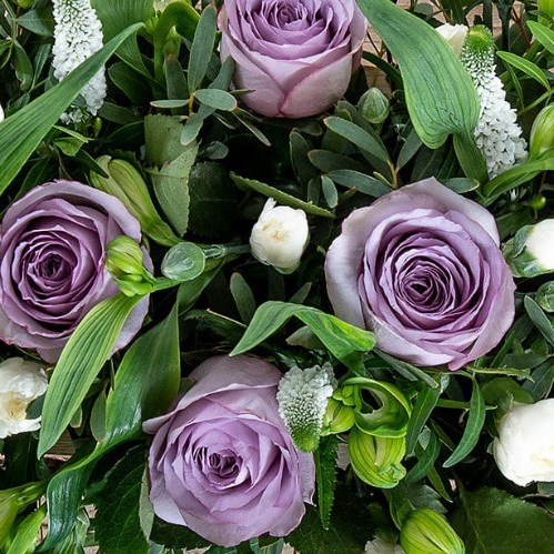 Basic Florists Bouquet Boxes (Lilac)