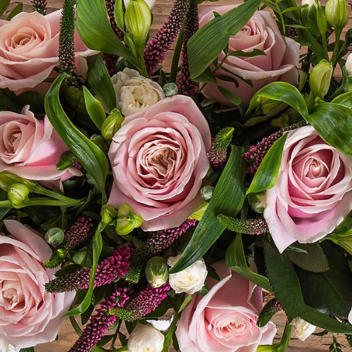 Basic Florists Bouquet Boxes (Pink)