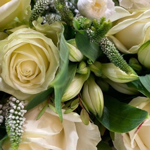 Basic Florists Bouquet Boxes (White)