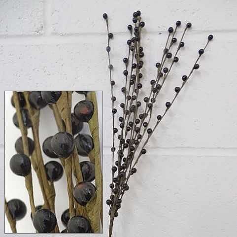 Berry Sprigs - Black