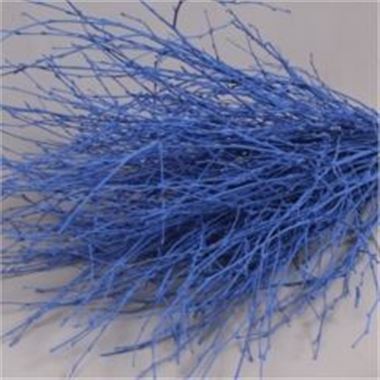 Birch Dyed Blue