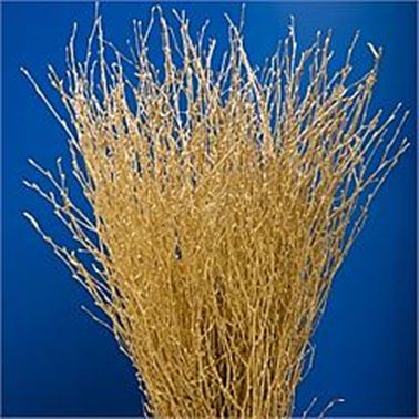 Birch Dyed Gold Glitter