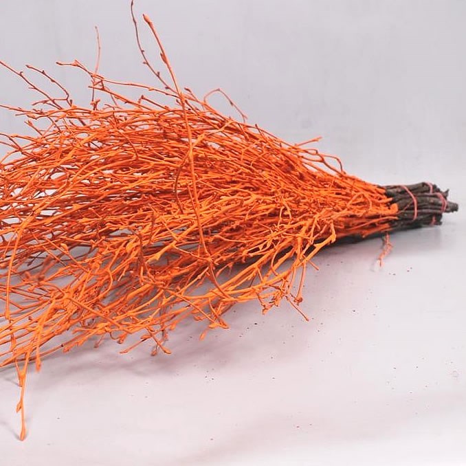 Birch Dyed Orange