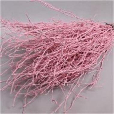 Birch Dyed Pink