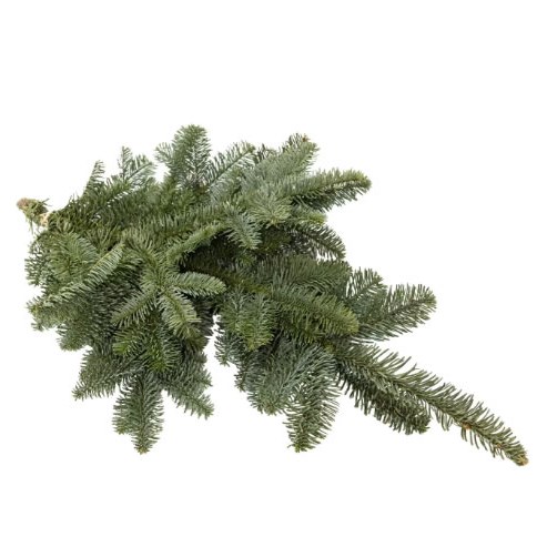Blue Spruce Handbunch
