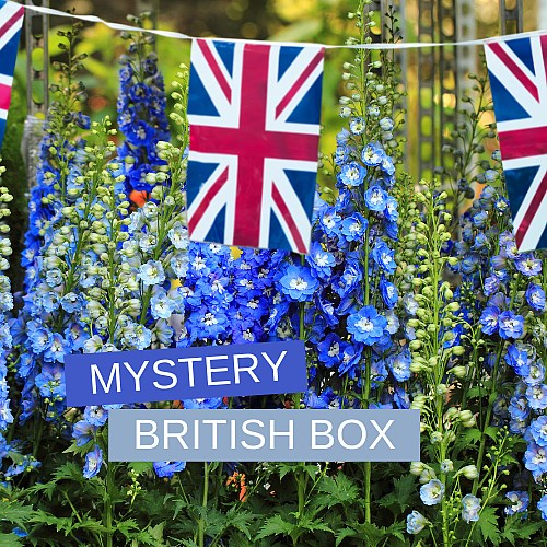 British Mystery Flower Box