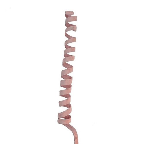 Cane Spring Medium CANE SPRINGS LIGHT PINK (dried) 50cm | Decorative Valentines Heart ...