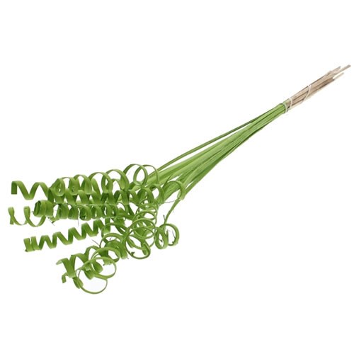 Cane Spring Medium CANE SPRINGS - MINT GREEN 50cm | Decorative Valentines Heart Picks ...