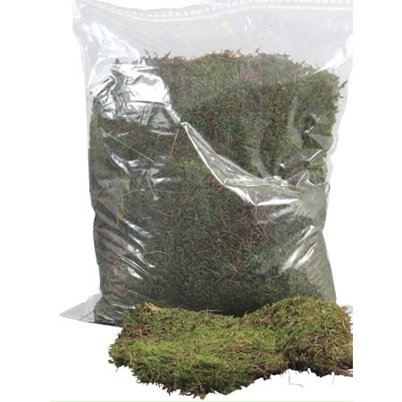 CARPET / FLAT MOSS IN PLASTIC BAG