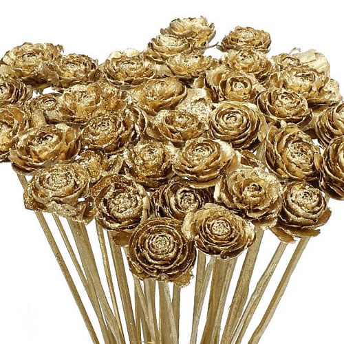 CEDAR ROSE PICKS GOLD 55cm Wholesale Dutch Flowers & Florist