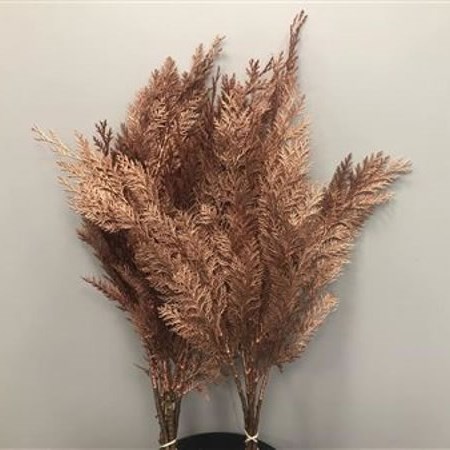CHAMAECYPARIS DYED COPPER