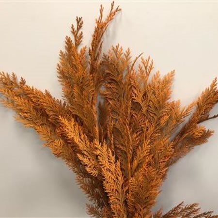 CHAMAECYPARIS DYED ORANGE