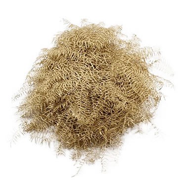CORAL FERN DYED GOLD