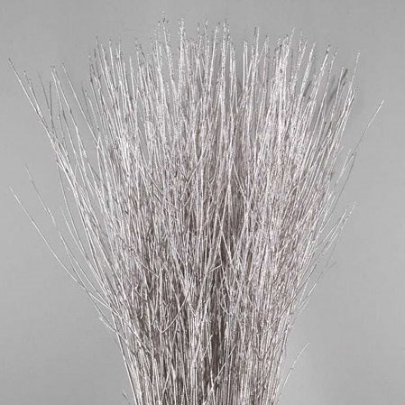 CORNUS DYED CHAMPAGNE + GLITTER