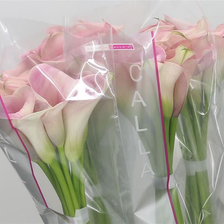 Calla Lily Captain Rosette