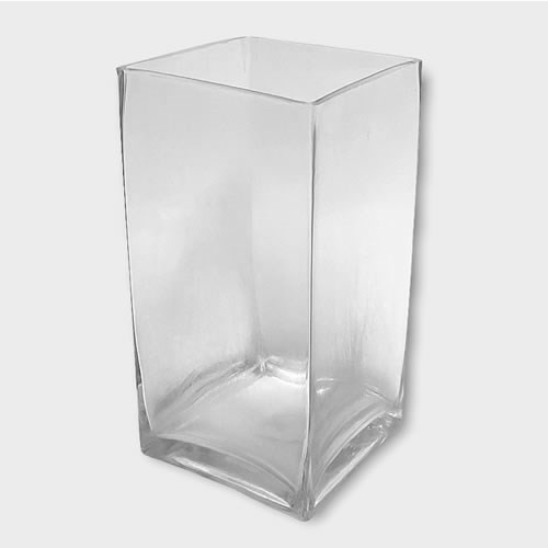 Glass Tank Vase 20x10x10cm Glassware Home Decor Wholesale Florist