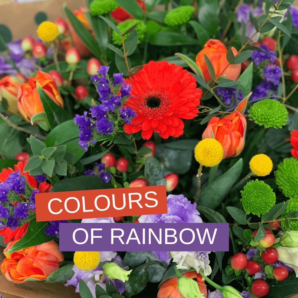 Colours of Rainbow Flower Box