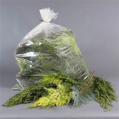 Conifer Mixed - 1 Kg Bag