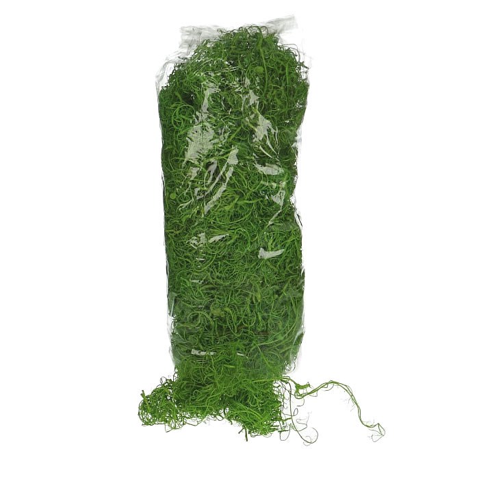 Curly Moss - Dyed Green