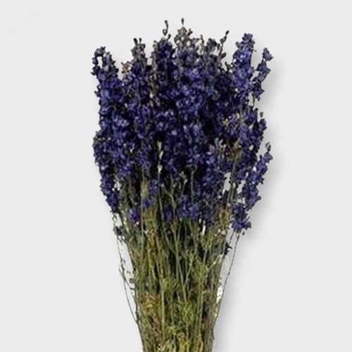 Delphinium Larkspur Blue (Dried)