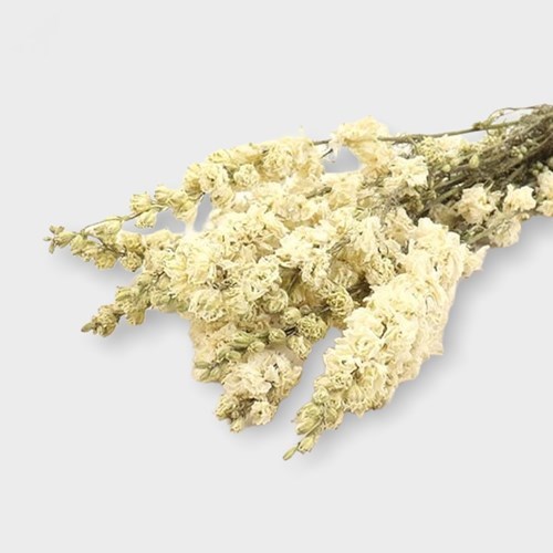 Delphinium Larkspur White (Dried)
