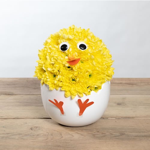 DIY Fresh Easter Chick in Egg Kit