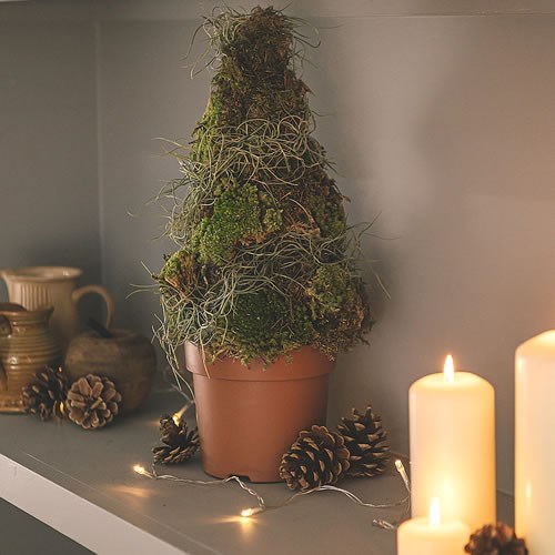 DIY Fresh Moss Miniature Xmas Tree Kit