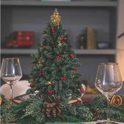 DIY Mini Spruce Xmas Tree with Lights Kit