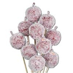 Red Ice Effect Apple Picks 5cm wide