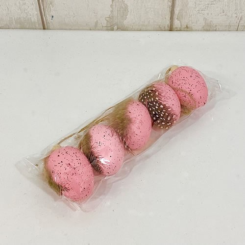 Eggs & Feather - Pink Hanging