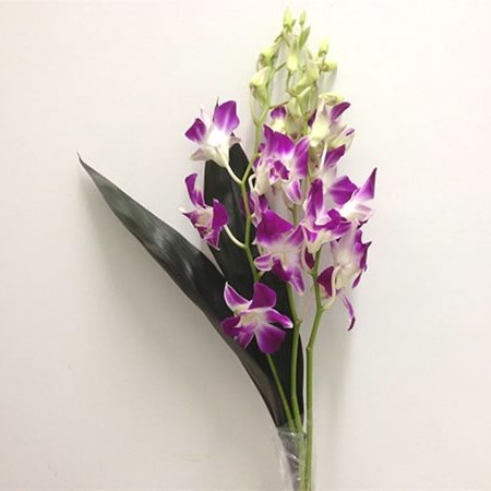 Dendrobium Orchid Bouquet Purple & White