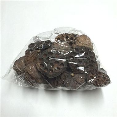 Dried - Lotus Heads Large