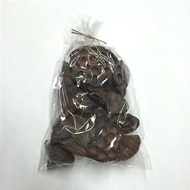 Dried - Lotus Heads Medium