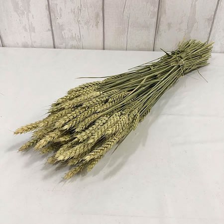Wheat (Dried)