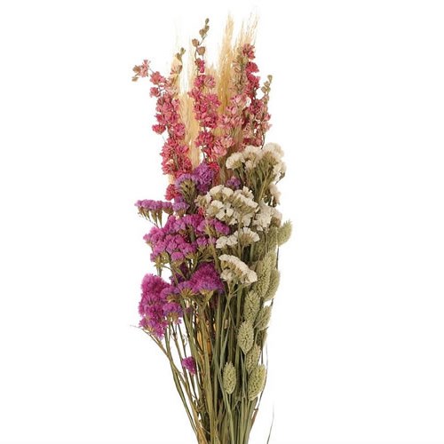 Dutch Bouquet Pink (dried) 55cm Wholesale Dried Flowers UK Preserved Flowers