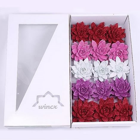 ECHEVERIA LOVE GLITTER MIX 10CM
