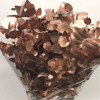 Eucalyptus Cinerea Dyed Copper