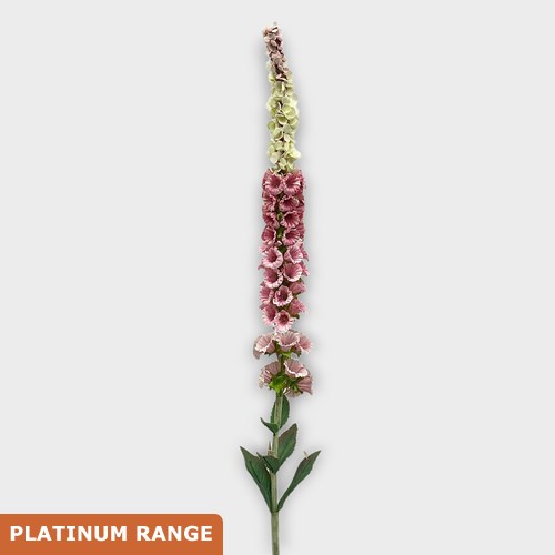 Artificial Faux Foxglove Pink