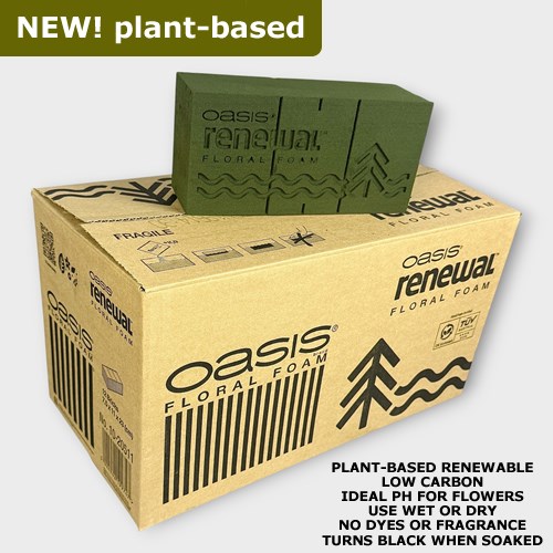 Floral Foam Bricks OASIS Plant-Based Renewable  x 12
