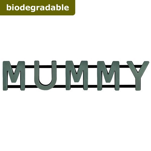Floral Foam Mummy Frame (Bio Foam)