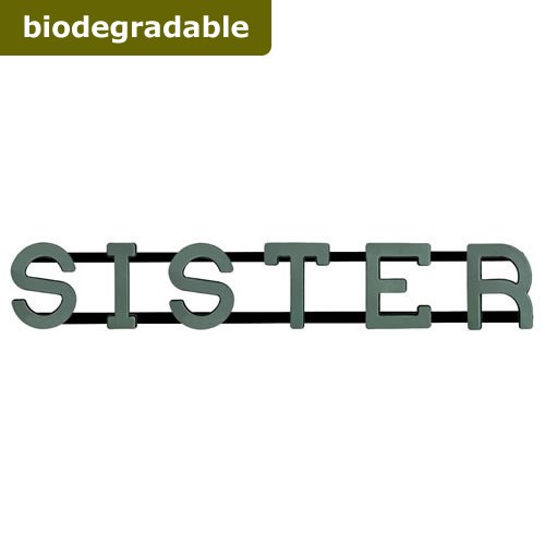 Floral Foam Sister Frame (Bio Foam)