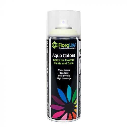 Spray Paint Soft Green Wholesale Dutch Flowers & Florist Supplies UK