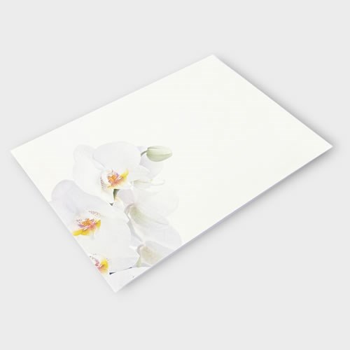 Message Cards Large - White Orchids (13x9cm)